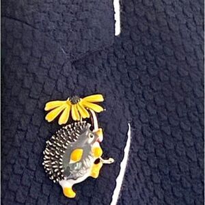 ⭐️Hedgehog Black Eyed Susan Brooch